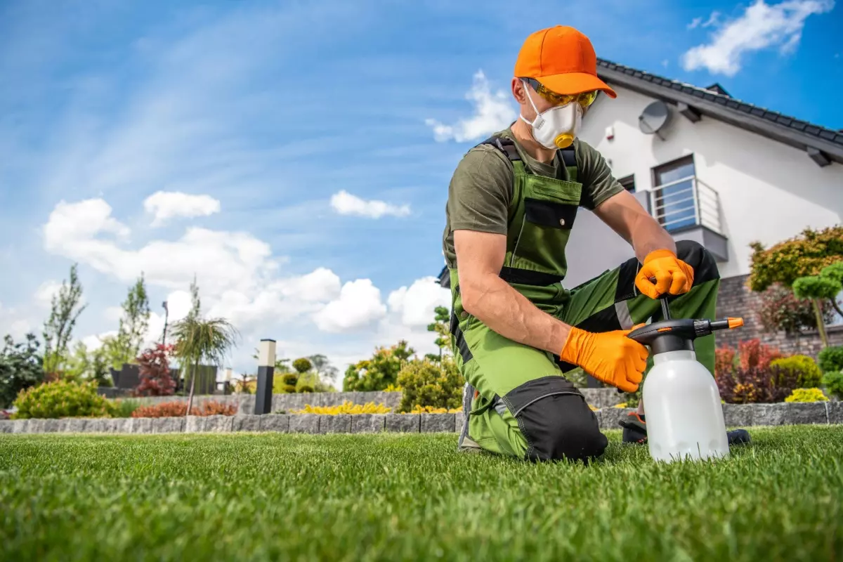 5 Important Things to Check Before Hiring a Pest Control Service